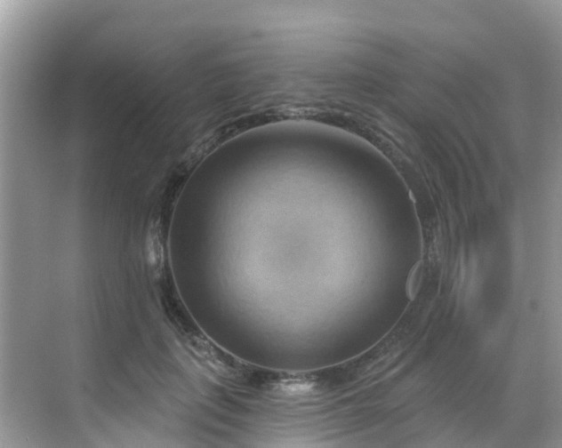 X0000068820651200605081146