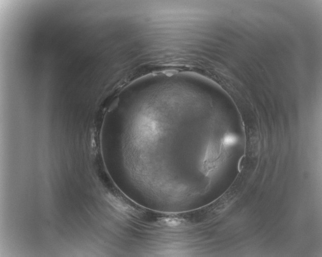 X0000068820654200605081146