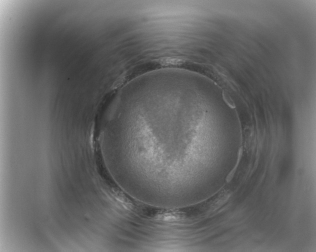 X0000068820655200605081146