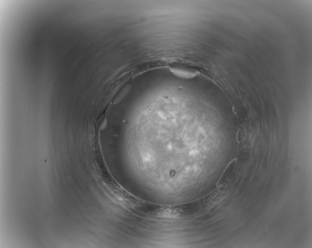 X0000068820656200605081146