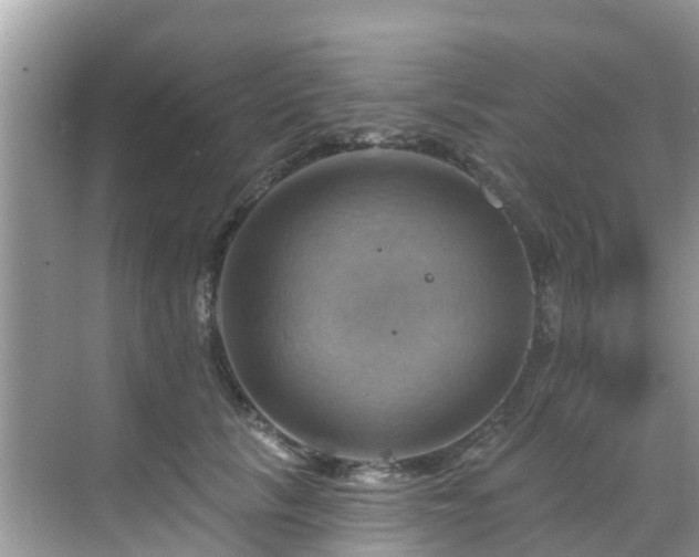 X0000068820657200605081147