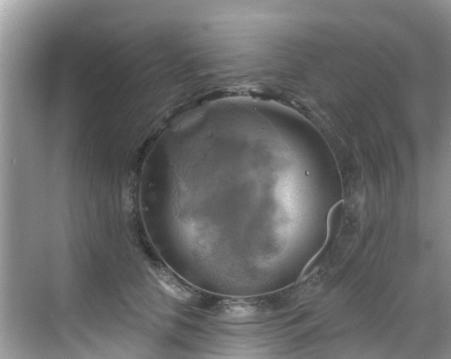 X0000068820658200605081147