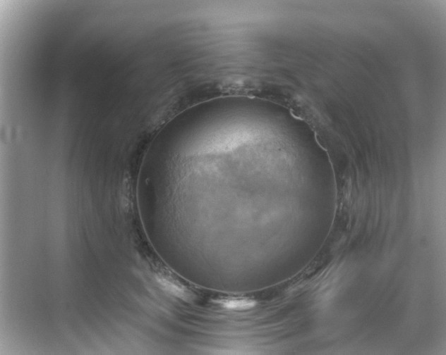 X0000068820659200605081147