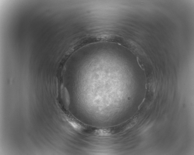 X0000068820660200605081147