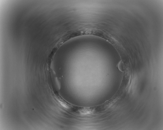 X0000068820661200605081147