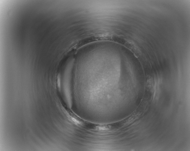 X0000068820662200605081147