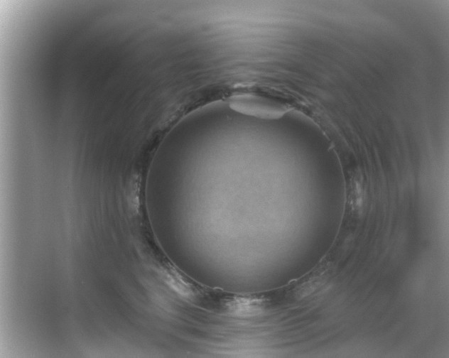 X0000068820664200605081147