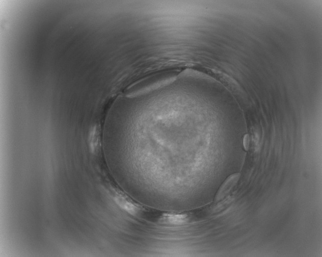 X0000068820665200605081147