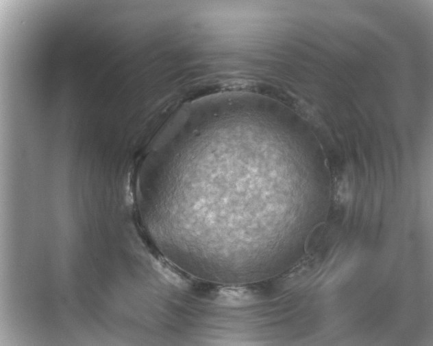 X0000068820666200605081147