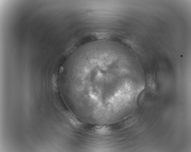 X0000068820667200605081147