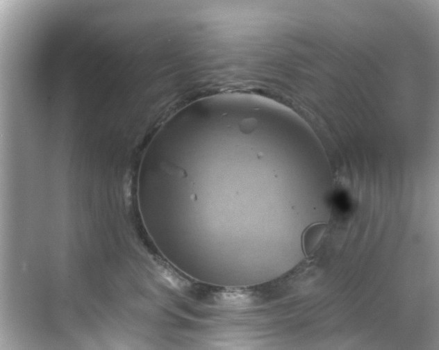 X0000068820668200605081147