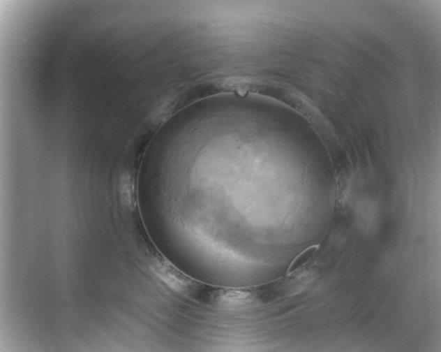 X0000068820669200605081147