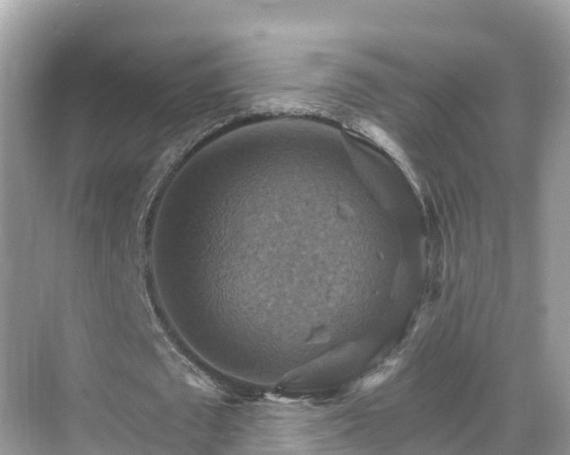 X0000068820673200605081146