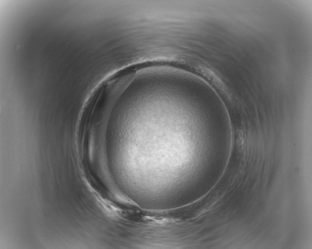 X0000068820676200605081146