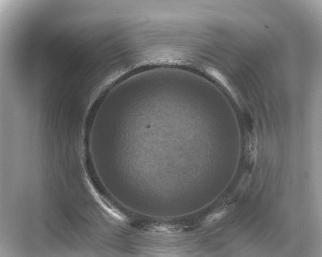 X0000068820677200605081146