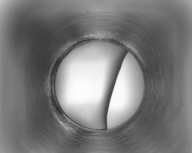 X0000068820678200605081146