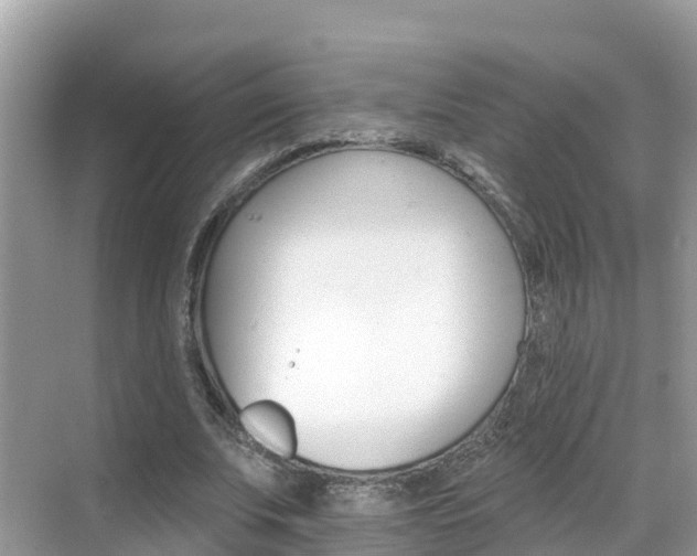 X0000068820679200605081146