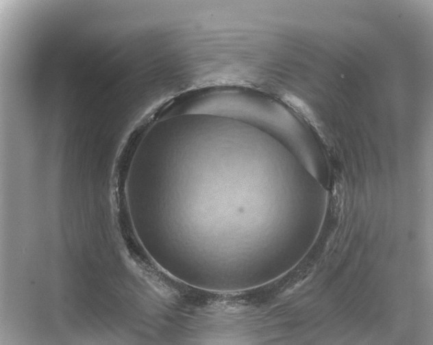 X0000068820680200605081146