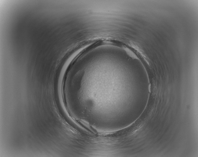 X0000068820681200605081146