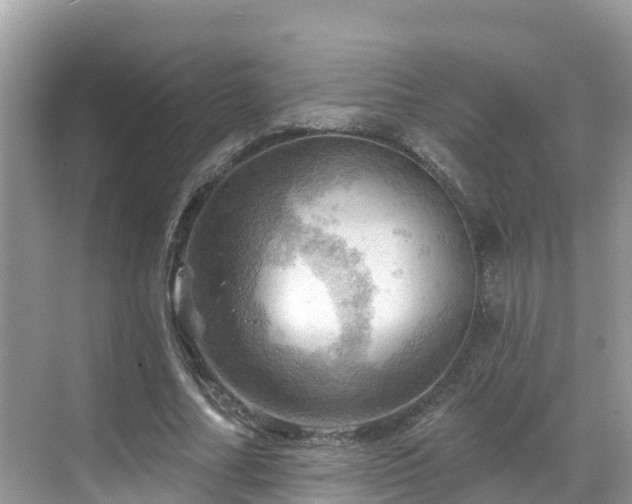 X0000068820682200605081146