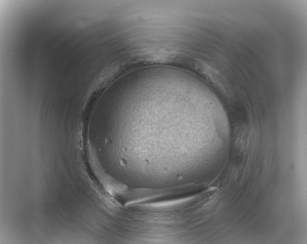 X0000068820685200605081146