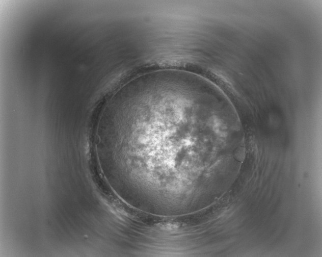 X0000068820687200605081146