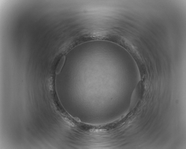 X0000068820689200605081146