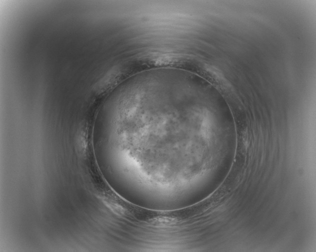 X0000068820691200605081146