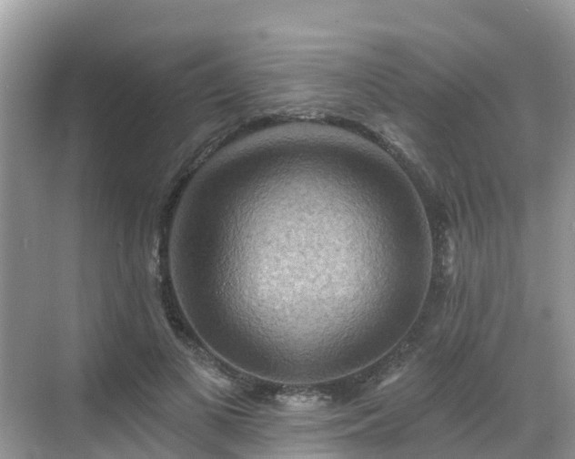 X0000068820693200605081146