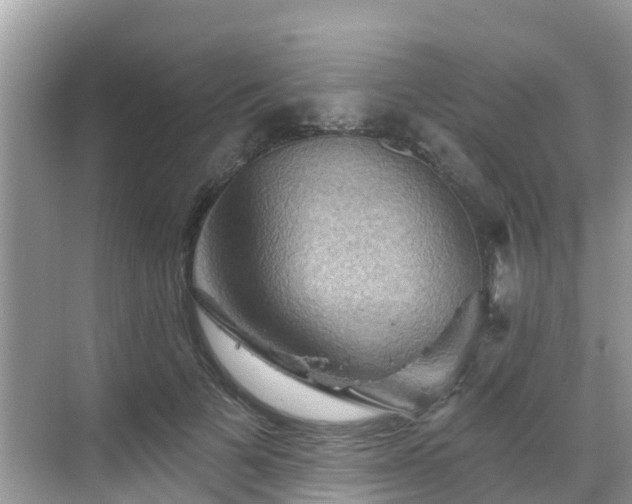 X0000068820697200605081146