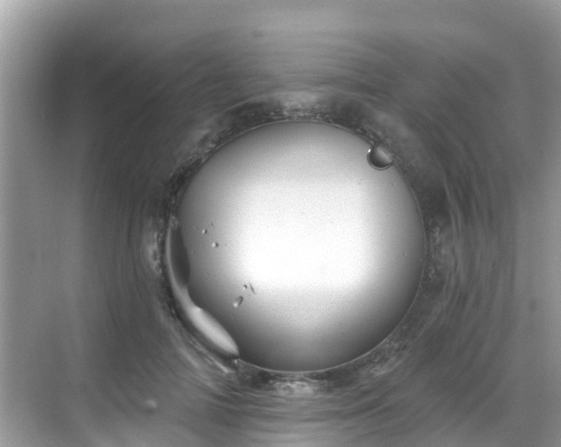 X0000068820698200605081146