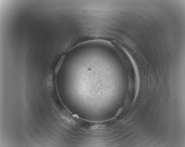 X0000068820700200605081146