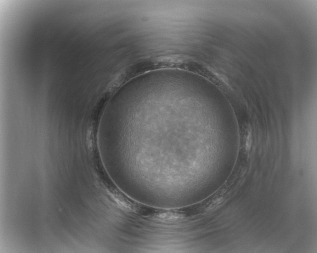 X0000068820708200605081145