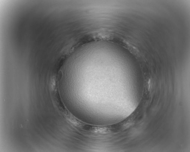 X0000068820709200605081145