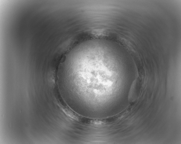 X0000068820710200605081145