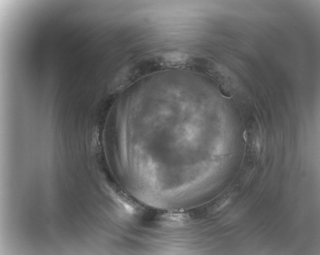 X0000068820711200605081145