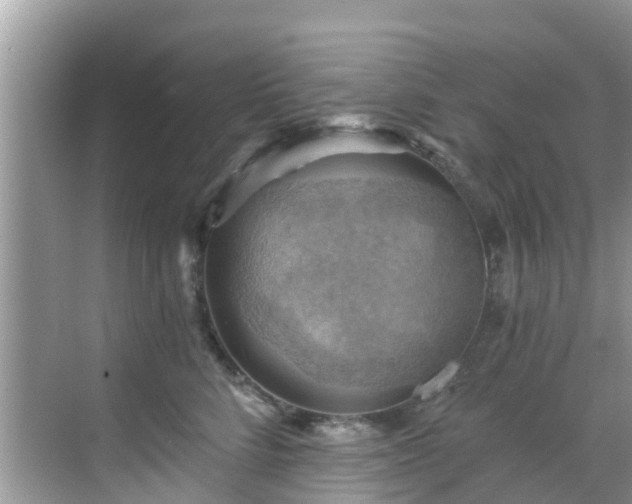 X0000068820712200605081145