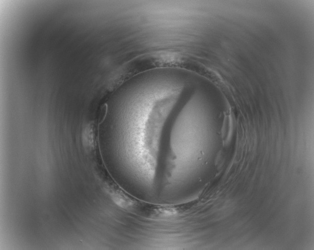 X0000068820715200605081145