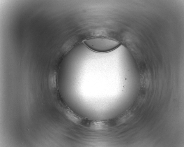 X0000068820717200605081145