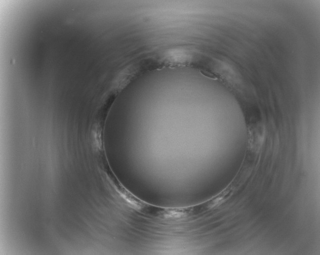 X0000068820718200605081145