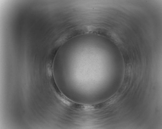 X0000068820719200605081145