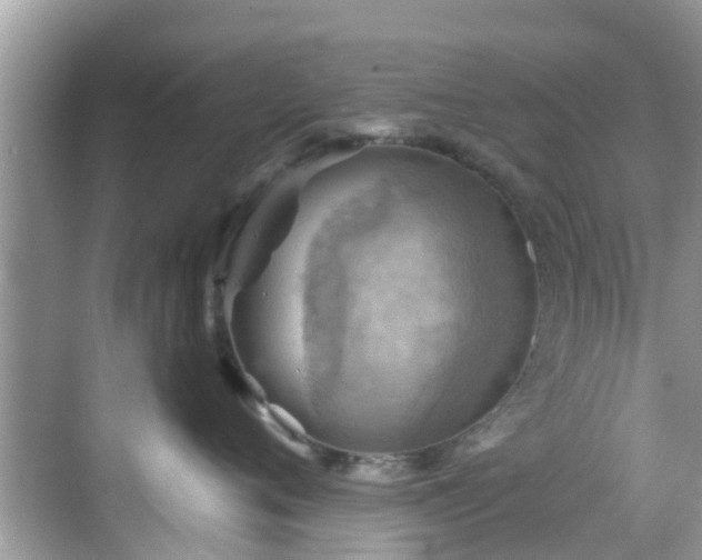 X0000068820720200605081145