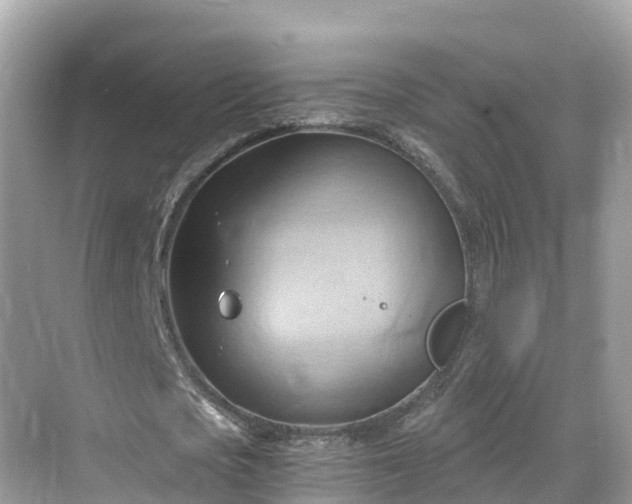 X0000068820721200605081144