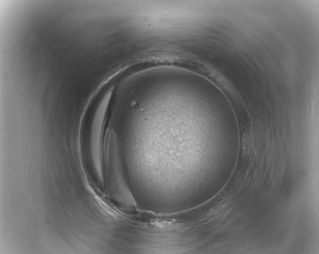 X0000068820722200605081144