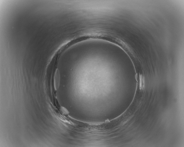 X0000068820723200605081144