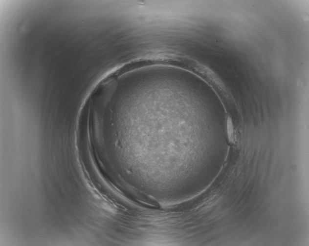 X0000068820724200605081144