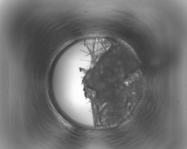 X0000068820725200605081144