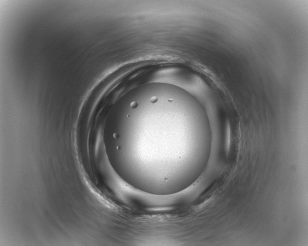 X0000068820726200605081144