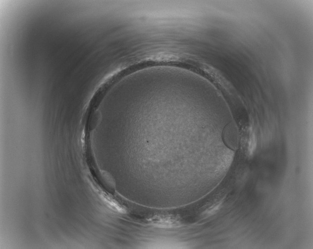 X0000068820727200605081144