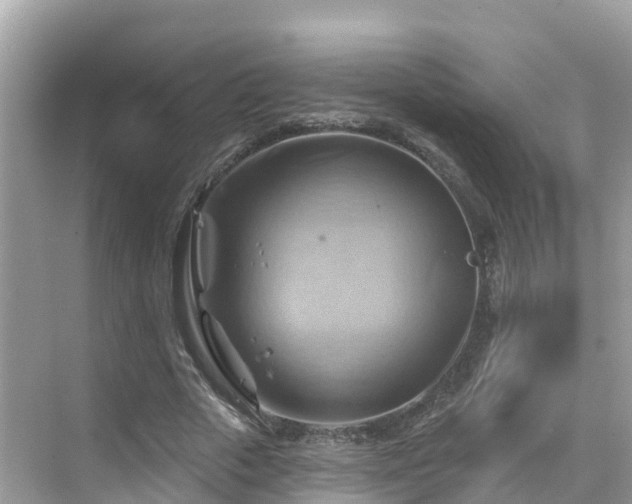 X0000068820729200605081144